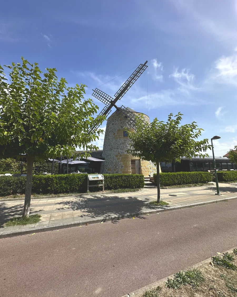 El molino de Aixerrota entre los árboles, en Getxo