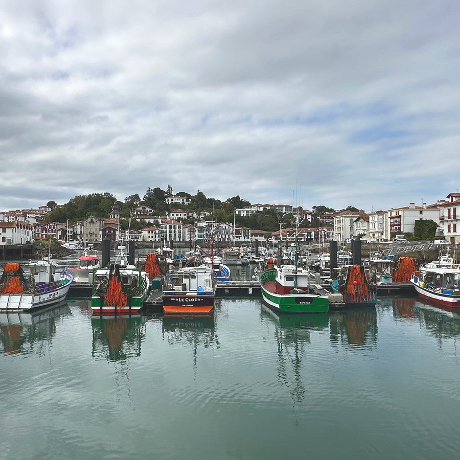 El puerto de Donibane Lohizune con los pesqueros y las casas